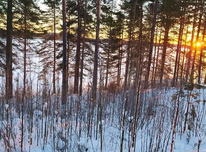 Дом отдыха Korento *